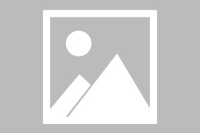 开云登录网址入口-哈兰德打入欧冠第50球
