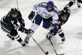 开云下载-CBA常规赛最新形势：本菲卡高居榜首，上海海港强势追赶，冠军归属成迷